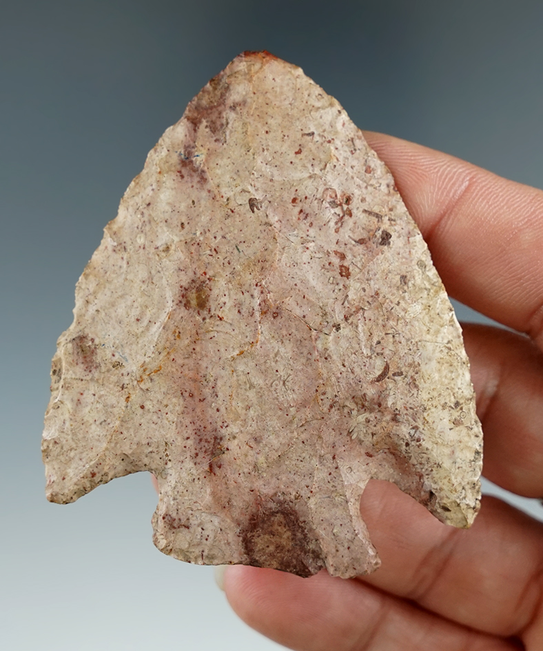 Beautifully colored 2 9/16" Snyders points found in Lincoln Co., Missouri.