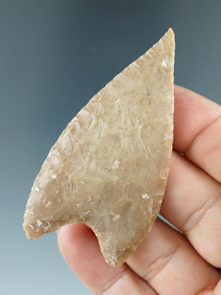 2 3/4" with excellent style and a needle tip. Flaking is very well done. Found in Texas.