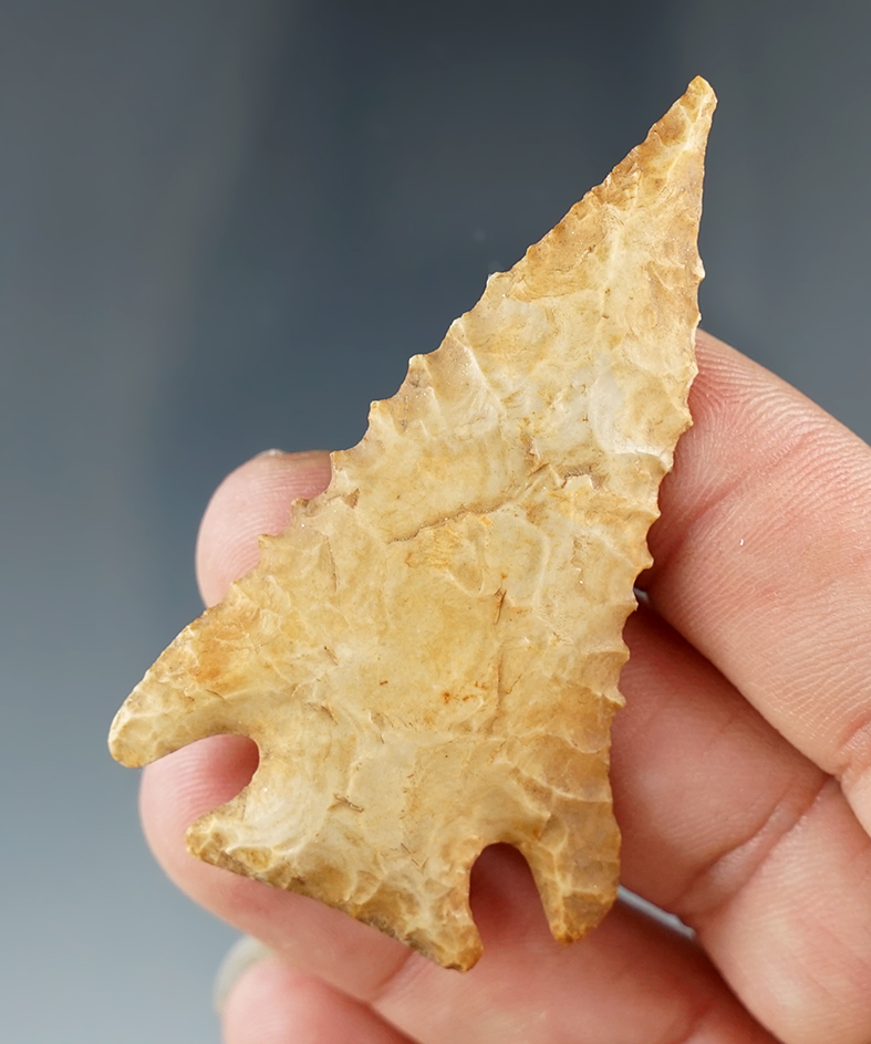 2 3/8" Pinetree point found in Davidson Co., Tennessee made from Fort Payne chert.