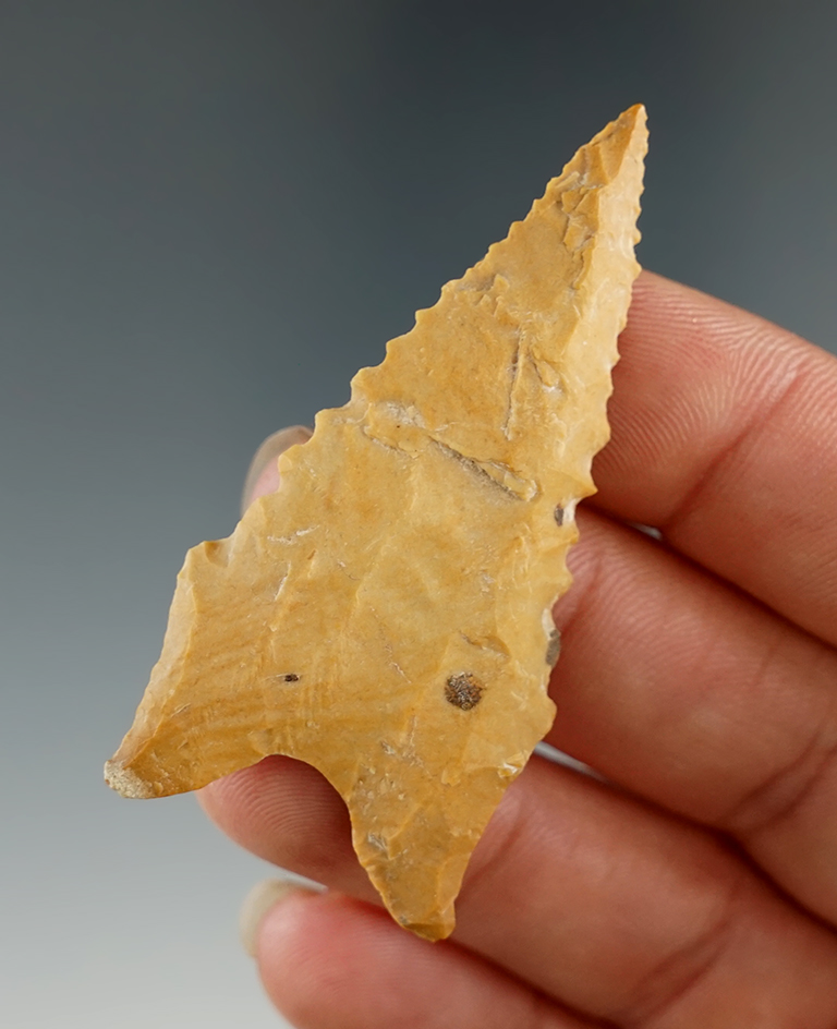 2 1/4" well-made and nicely serrated Dalton found in southern Missouri.