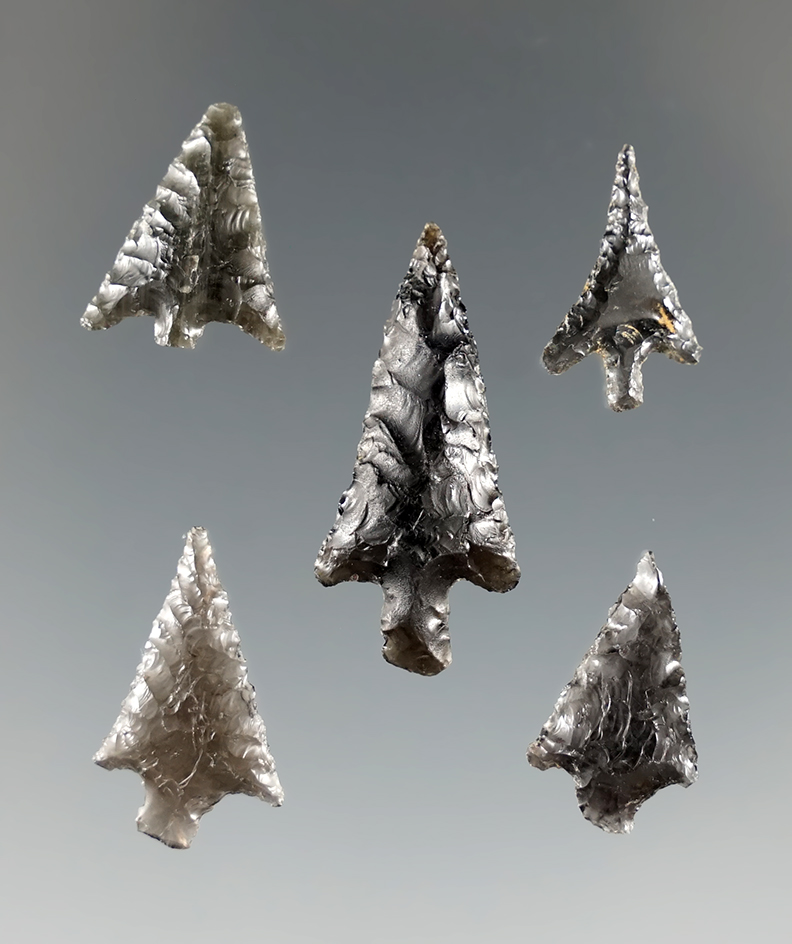 Group of five obsidian arrowheads found in Oregon, largest is 1 1/16".