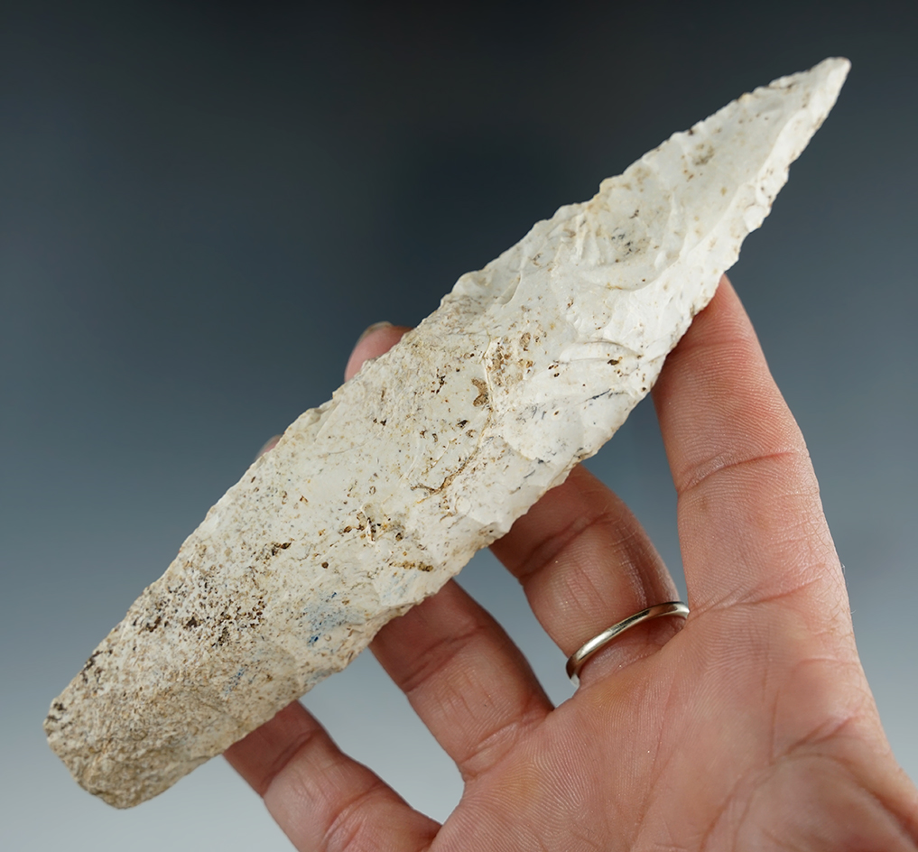 Large 5 15/16" Sedalia found in Missouri.