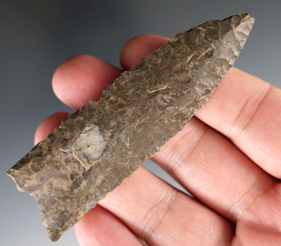 Excellent flaking and edge work on this 3 3/4" Paleo Fluted Clovis found in Kentucky.