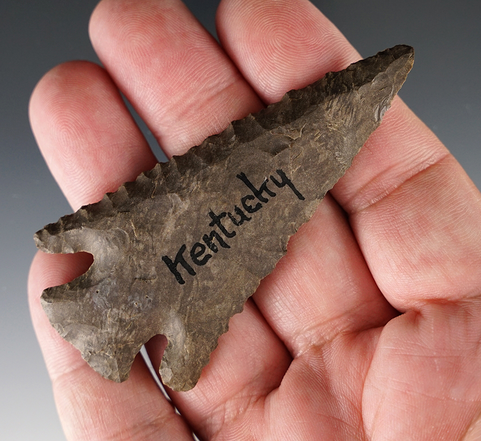 3 1/8" Beveled Lost Lake from Kentucky. Made from mottled Dover Flint in excellent condition.