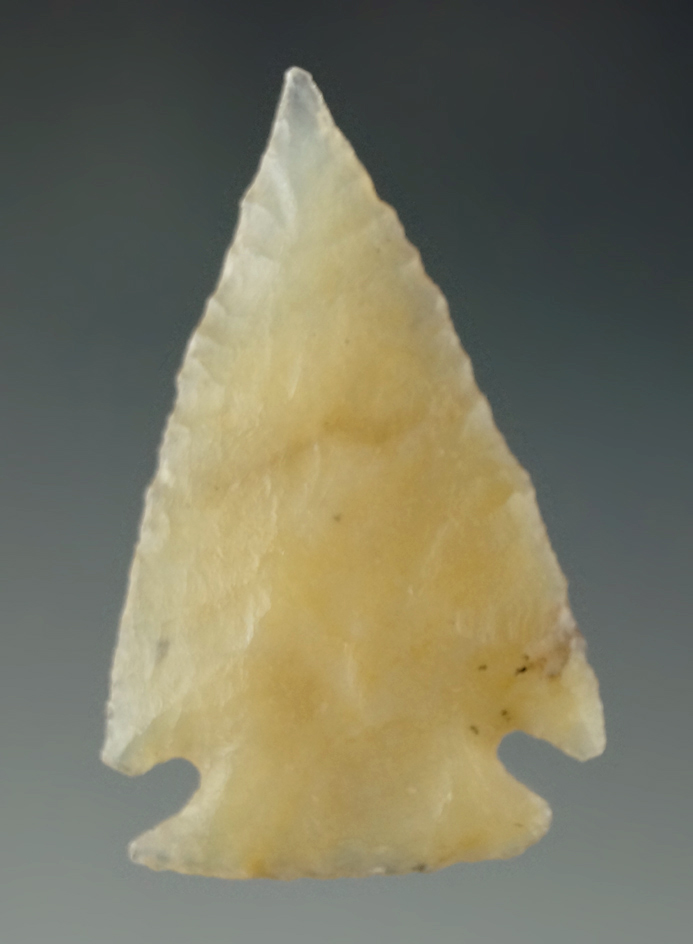 1 7/16"Pelican Lake - Moss Agate-High Plains region. Ex. Charles Shewey . Museum COA.