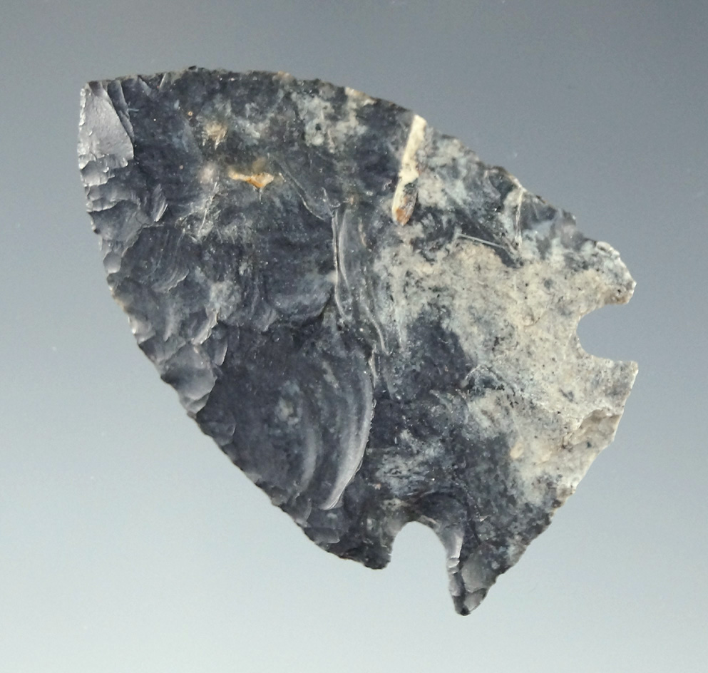 Thin and nice! 1 9/16" Jack's reef made from beautiful multicolored Coshocton Flint found in Ohio.