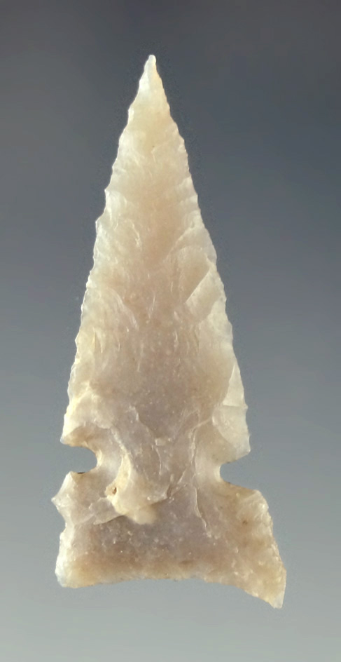 1 5/16" Desert General with a needle tip found in Oregon. Ex. Charles Shewey collection.