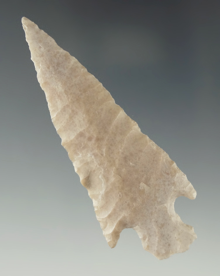 Large for type! 2 7/8" Shumla point found in Texas. Ex. Charlie Shewey collection. Davis COA.