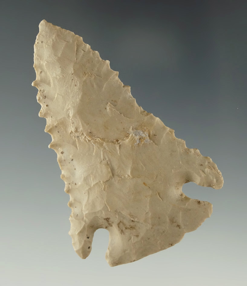 Pcitured! Well serrated 2 1/2" Pinetree - Livingston Co., Kentucky - COA. Featured in Overstreet 15.