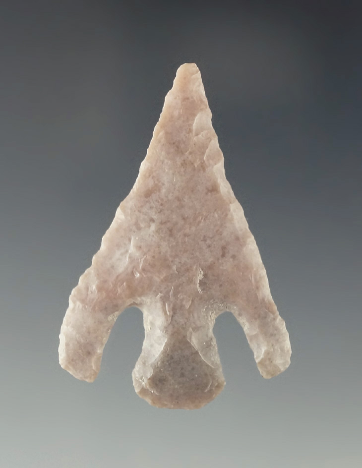 1 9/16" Shumla point found in Texas. Very nice notching and style.