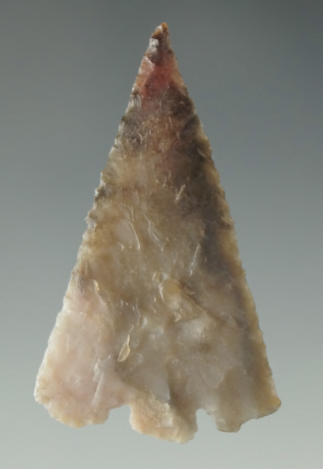 1 9/16" very, very thin Quilomene Bar - semi-translucent - found near the Columbia River.