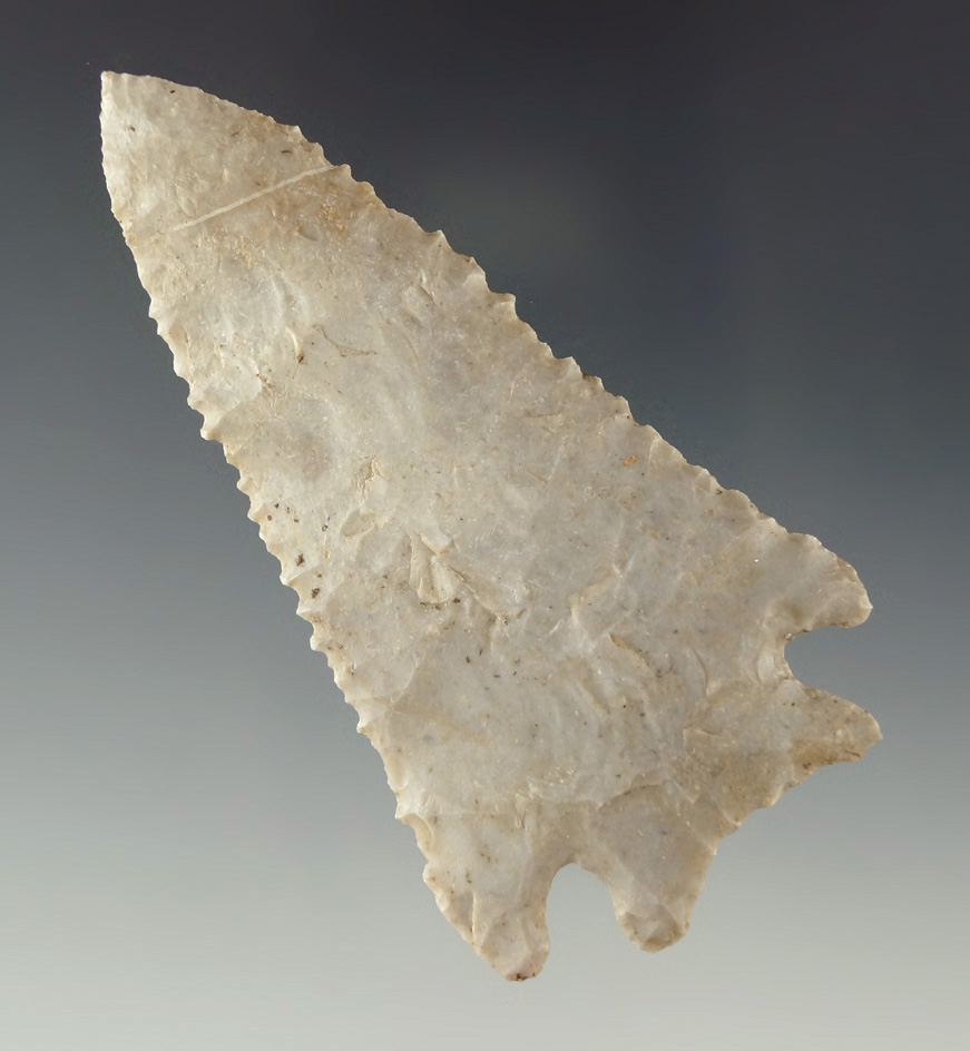 3 1/16" thin and nicely serrated Pinetree found in Greene Co., Illinois. Excellent serrations.  COA.