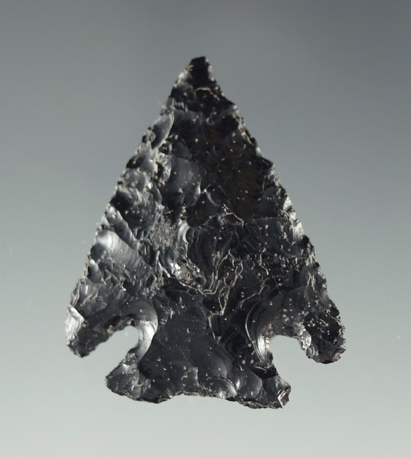 1 7/16" Elko found in Oregon made from obsidian. Ex. Charles Shewey collection.