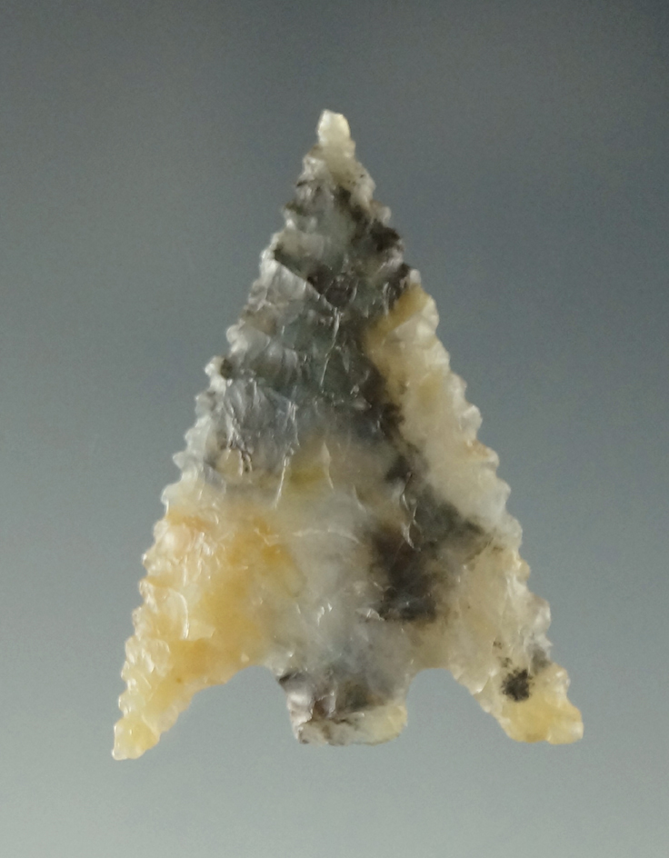 Incredible material on this 1 1/4" Gunther found in southern Oregon - multi-colored agate.