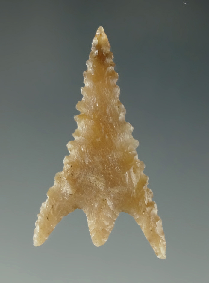 Pictured! 1 1/4" Gunther with excellent edge serrations - Oregon. Ex. Charles Shewey.. Pictured.