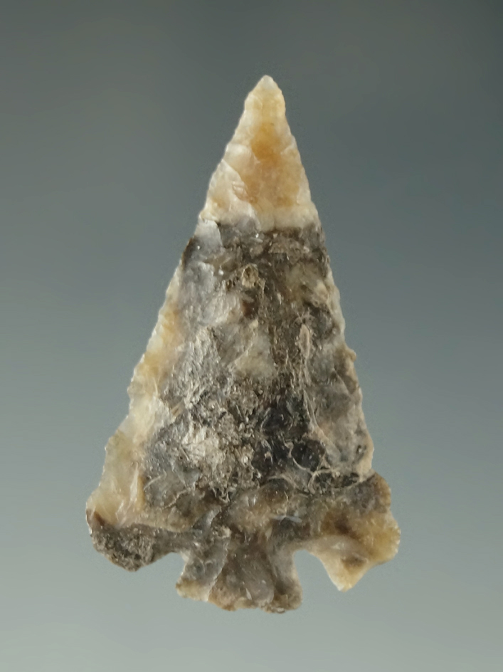 Pictured! 1 5/16" Eastgate - Columbia River. Pictured in Ancient Indian Artifacts volume 2, Bennett