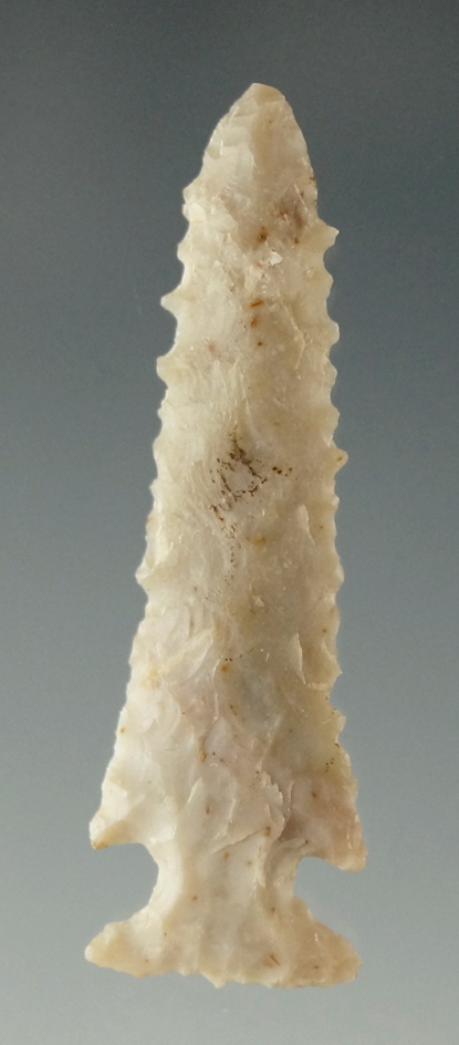 Pictured! 1 5/8" Scallorn point found in Texas. Ex. Charles Shewey collection. Pictured in Overstree