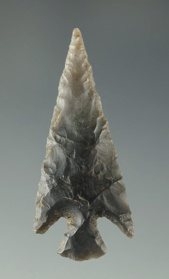 1 5/16" Columbia Plateau in excellent condition found in Oregon. Ex. Shewey.  Davis G-10 COA.