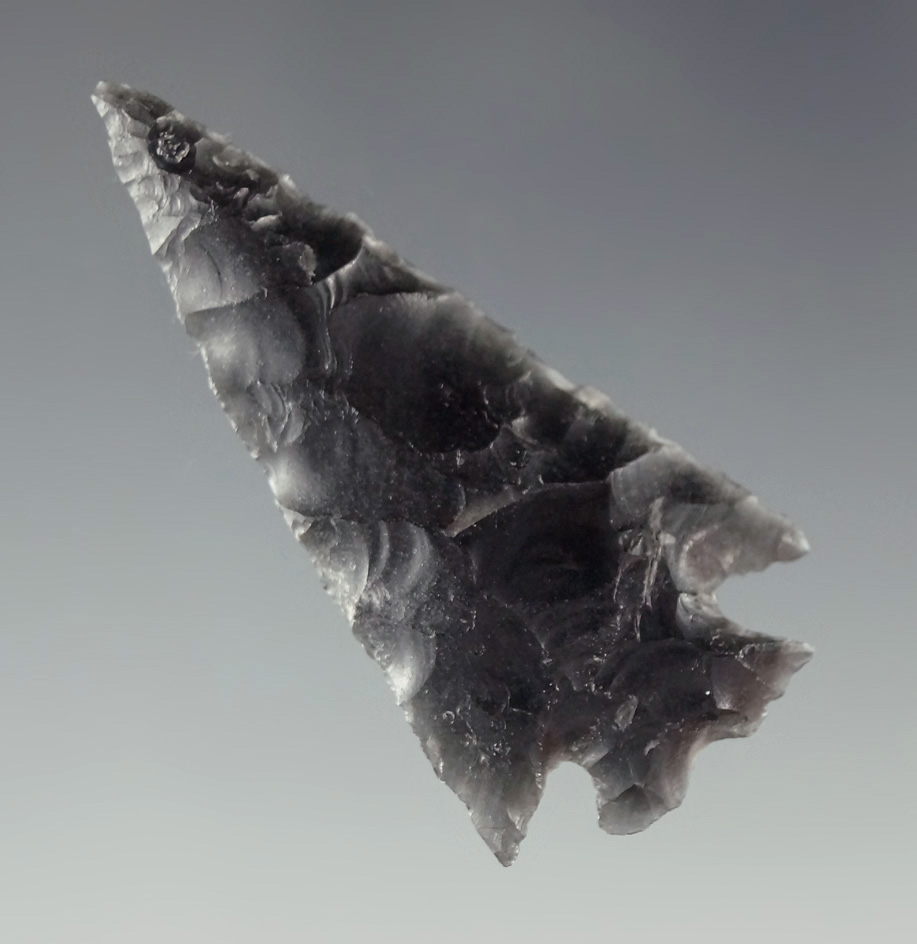 1 11/16" obsidian Elko Eared found in Oregon. Ex. Charles Shewey collection.