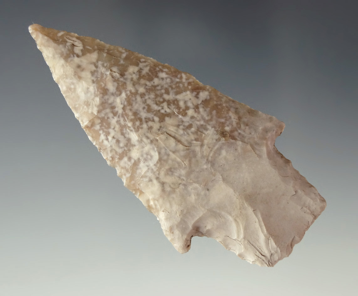 2 13/16" Bulverde point found in Lampasas Co., Texas. Comes with a Perino COA.