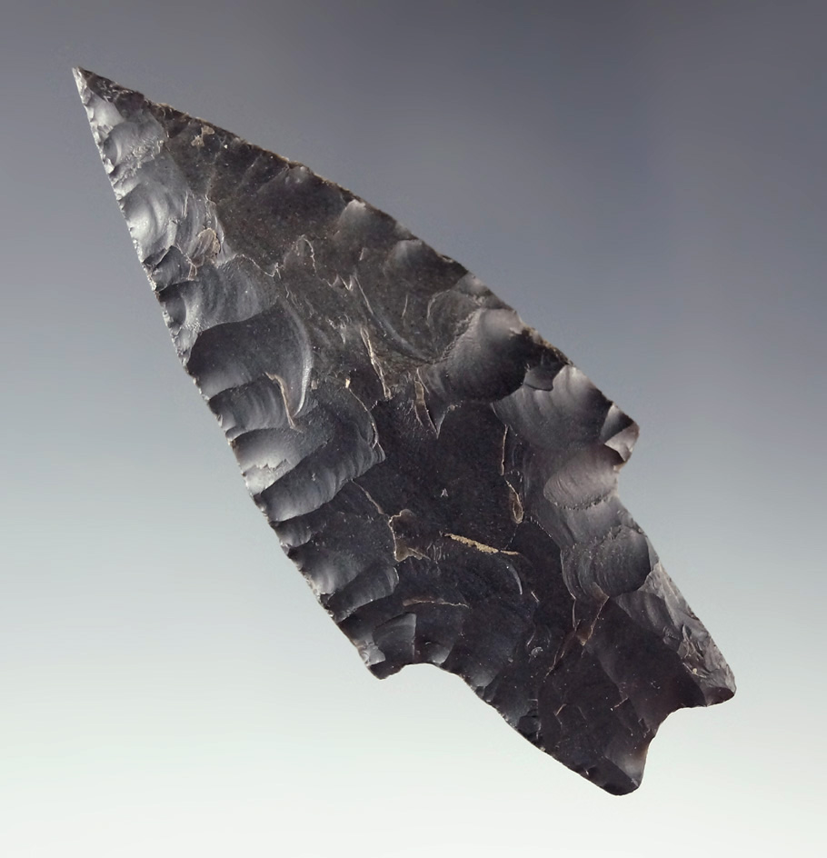 Pictured! 3 1/16" Pedernales point found in Texas.  Featured in Overstreet 15th edition, page 627.