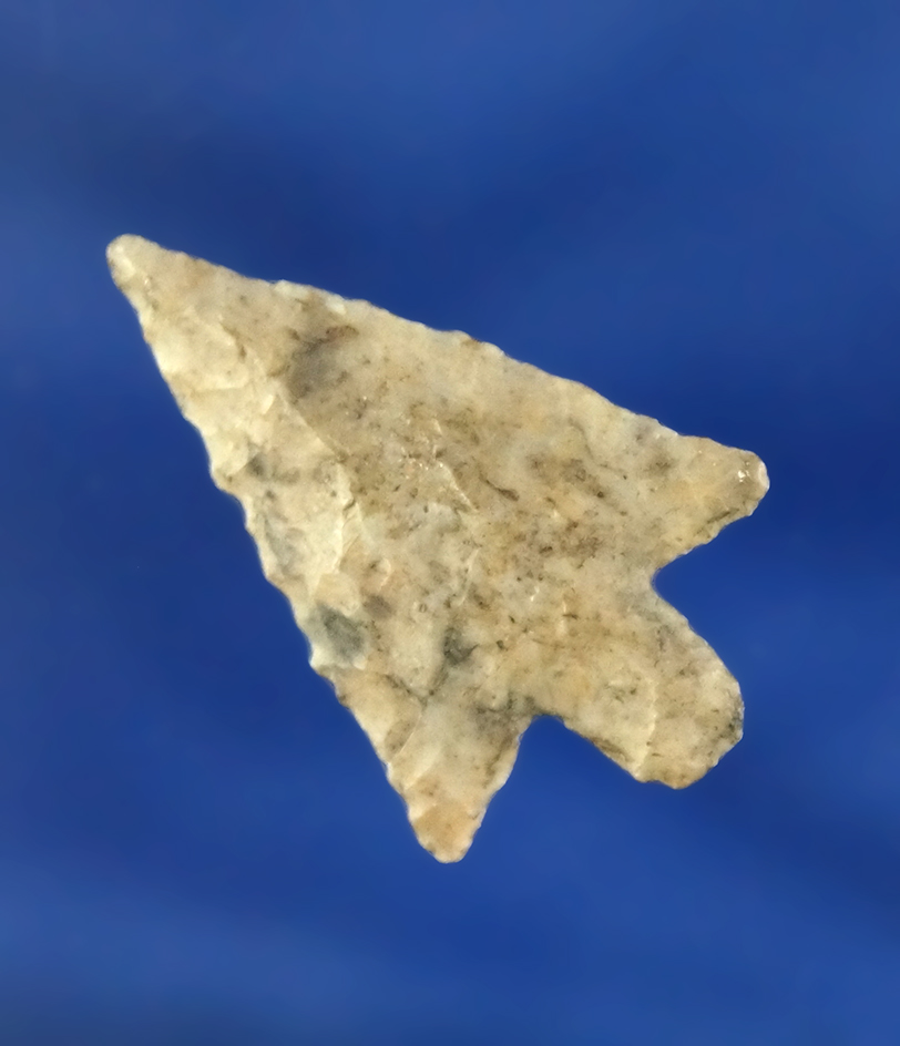 1 1/8" Wallula Gap found near the Columbia River.  Ex. Darryl Baker collection.