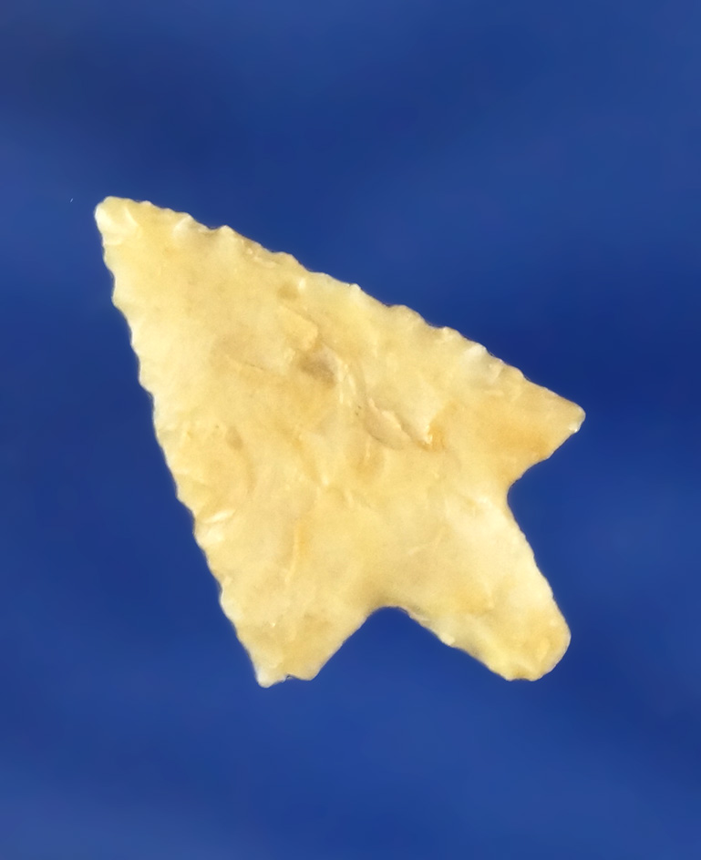 7/8" Rabbit Island Arrow made from Agate found near the Columbia River.  Ex. Darryl Baker.