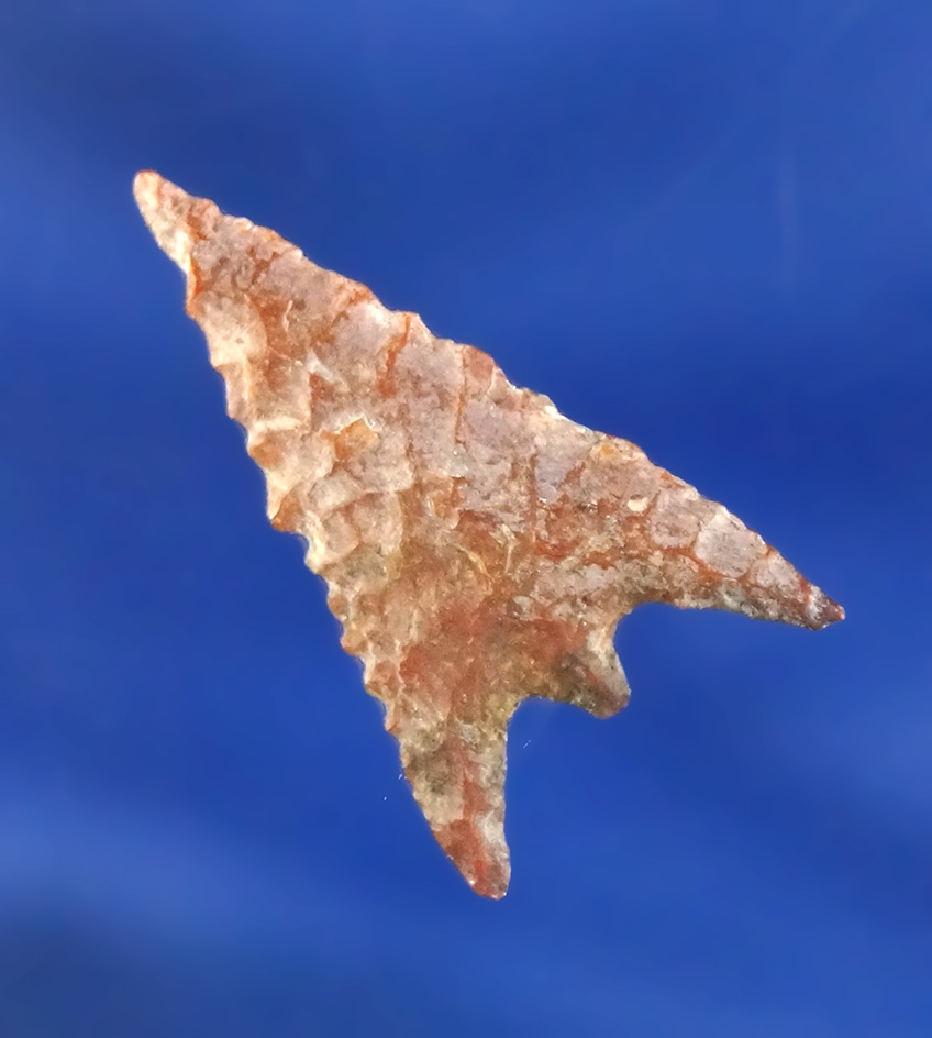 15/16" well flaked Gunther found in Oregon.