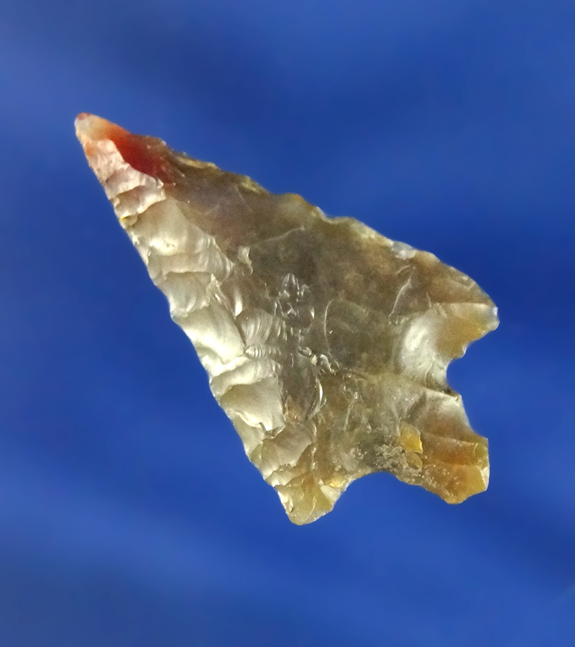 1 1/4" Wallula - beautiful multicolored agate - Columbia River, Oregon. Stermer COA.