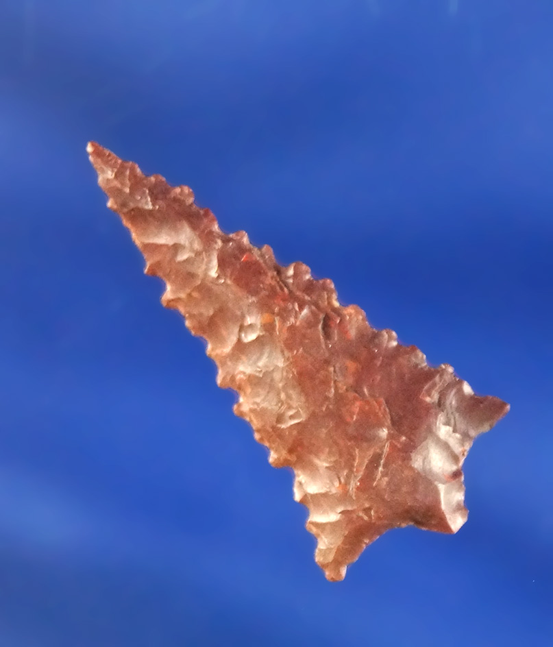 1 1/16" well styled Jasper Rabbit Island found in Oregon.