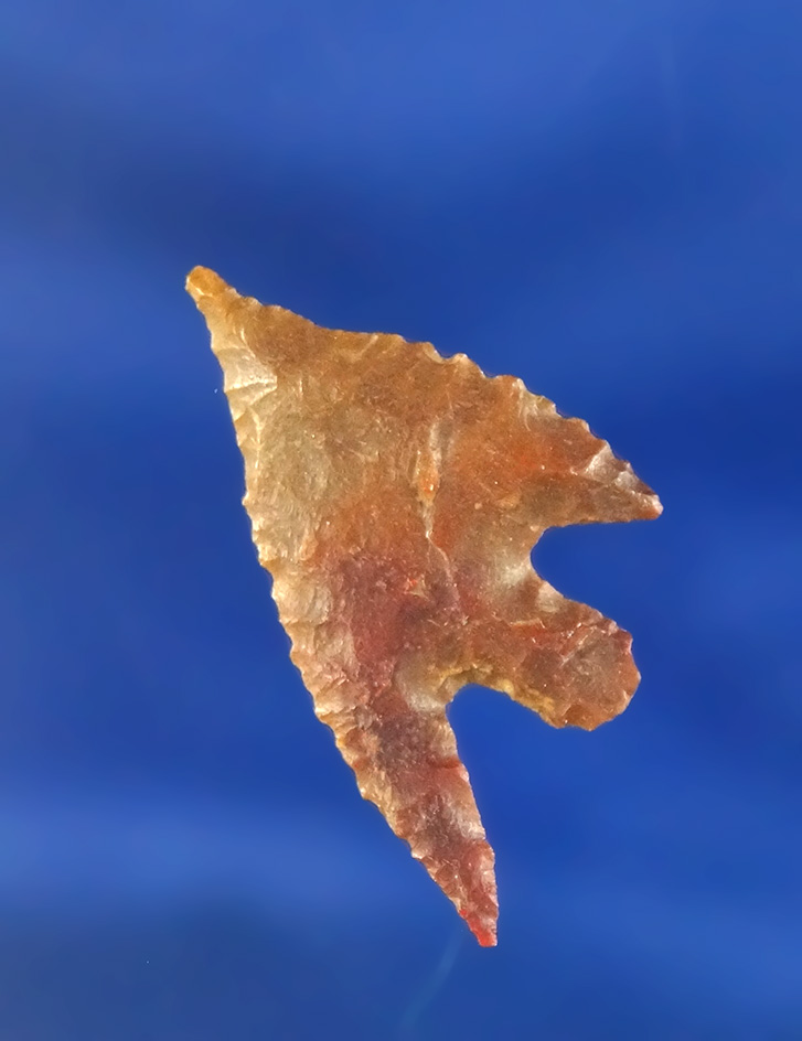 1" Gunther with a nice long wing and a needle tip found in Oregon.