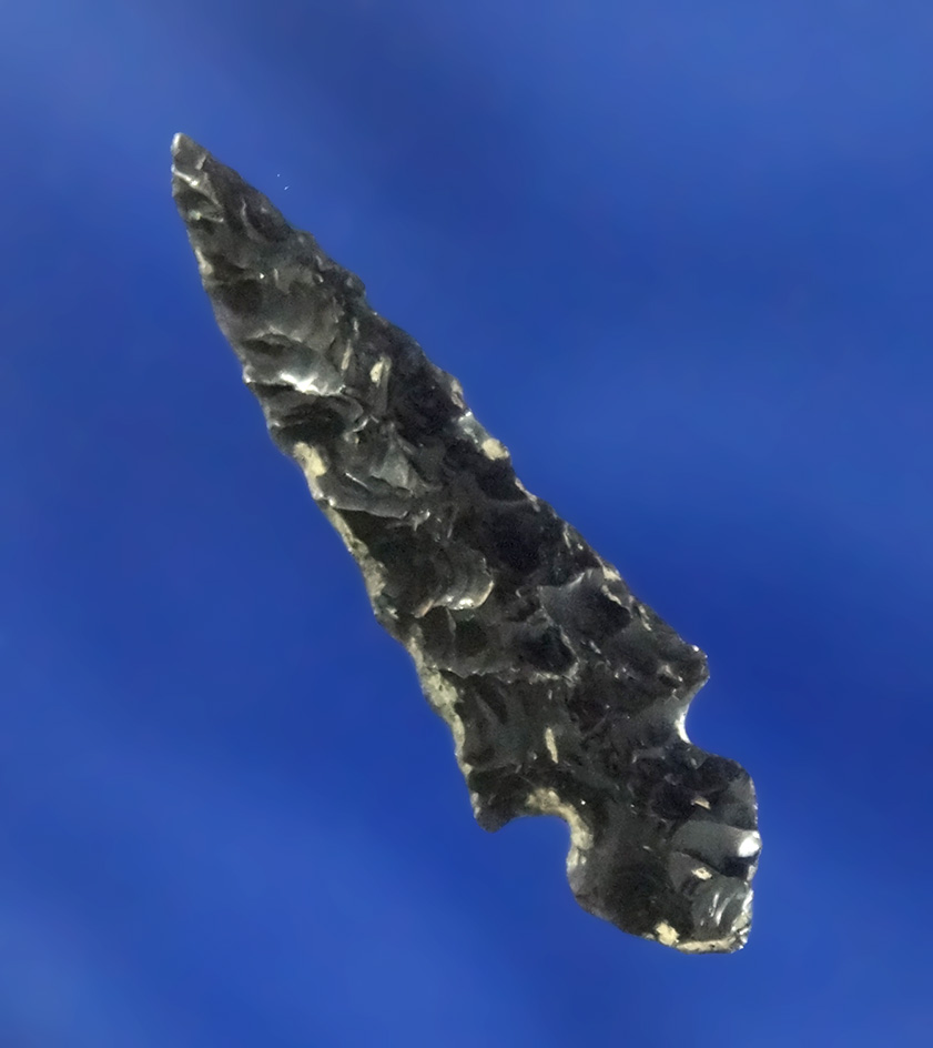 Nicely flaked 1 1/16" Obsidian Klickitat found near the Columbia River. Stermer COA.