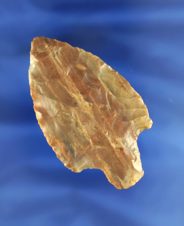 2 3/4" Stemmed Knife made from beautiful petrified wood found in the western U.S.