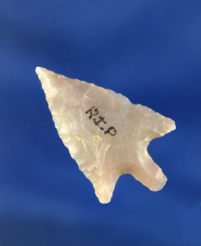 1 1/8" Rabbit Island Arrow Point from the Columbia River region.