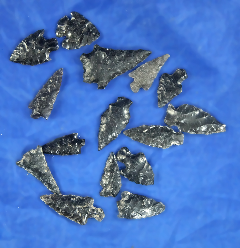 Group of 15 assorted Obsidian Arrowheads found in Oregon. Largest is 1 3/16".
