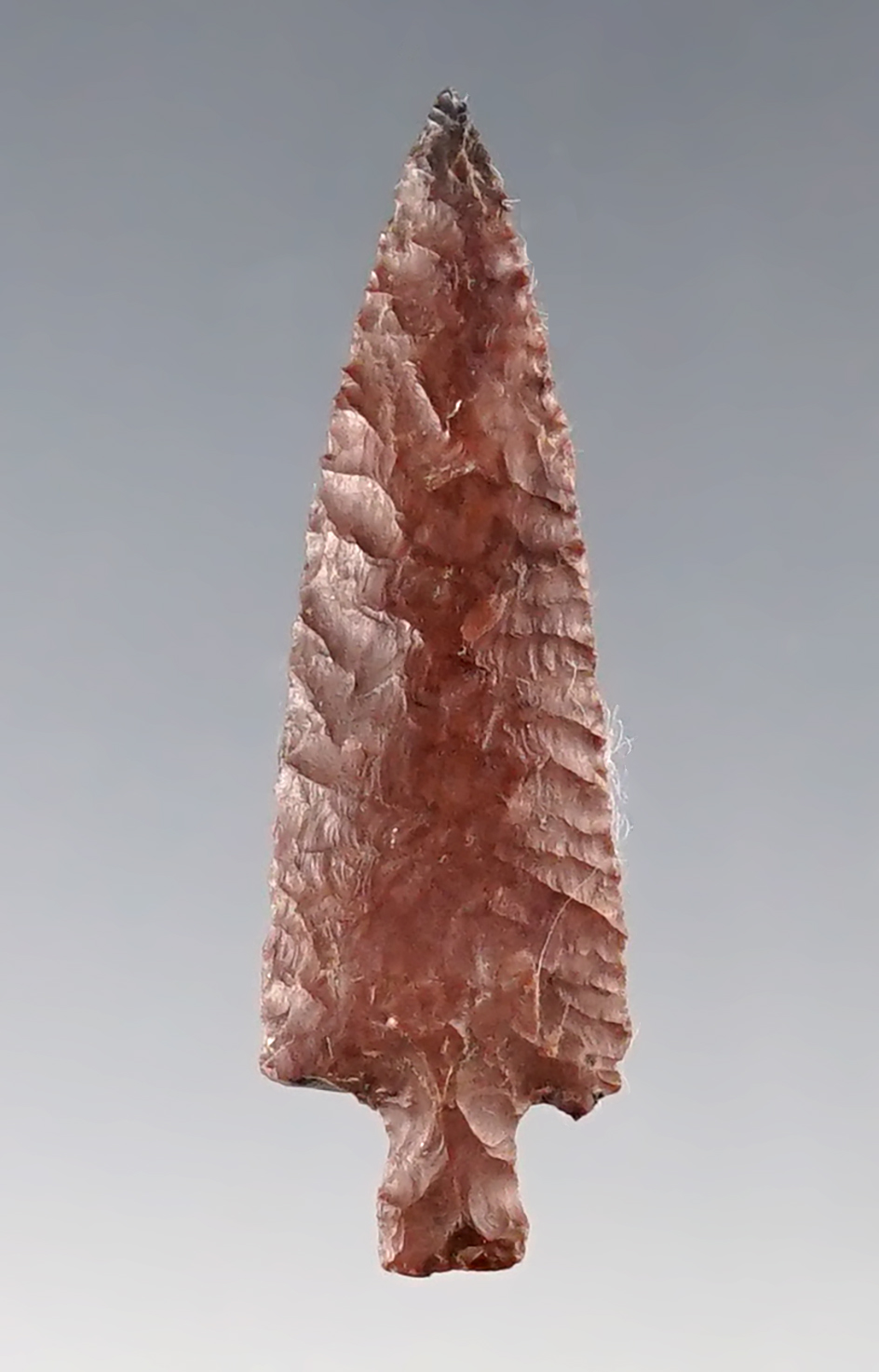 1 1/2" Wallula with excellent flaking and style - brown Jasper. Found near the Columbia River.