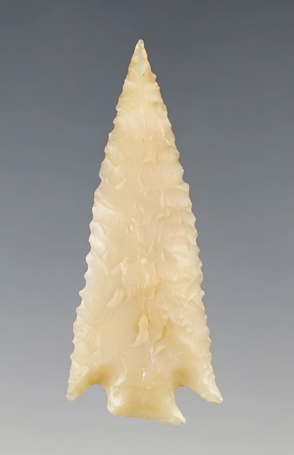 1 13/16" Columbia Plateau - Beautiful edge serrations and style.