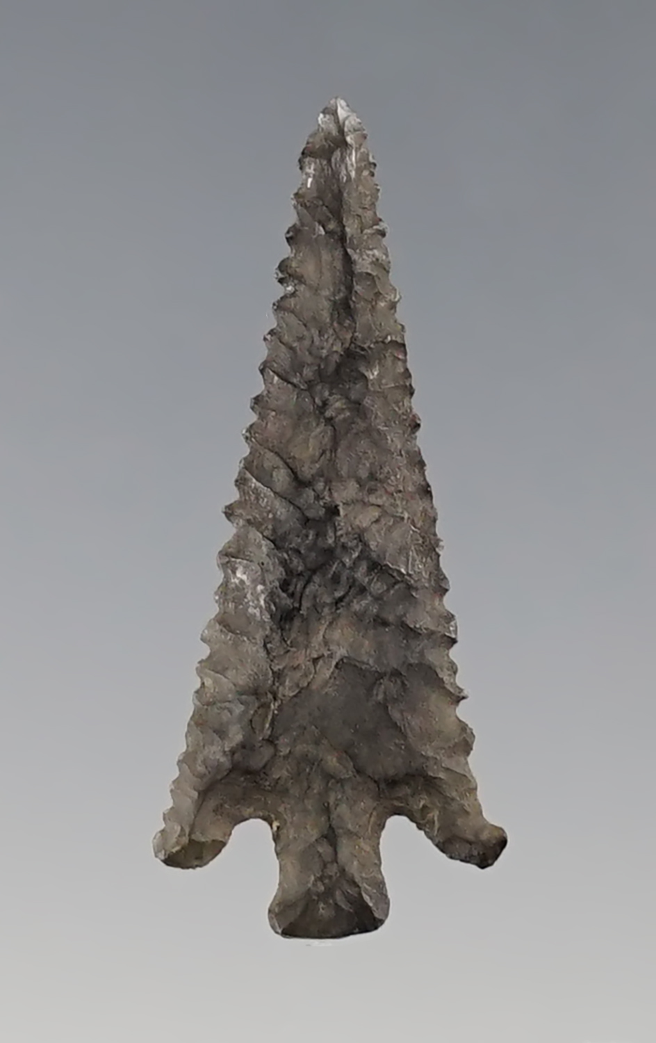 Heavily patinated 1 5/16" Columbia Plateau. Found near the Columbia River. Ex. Favell Museum.