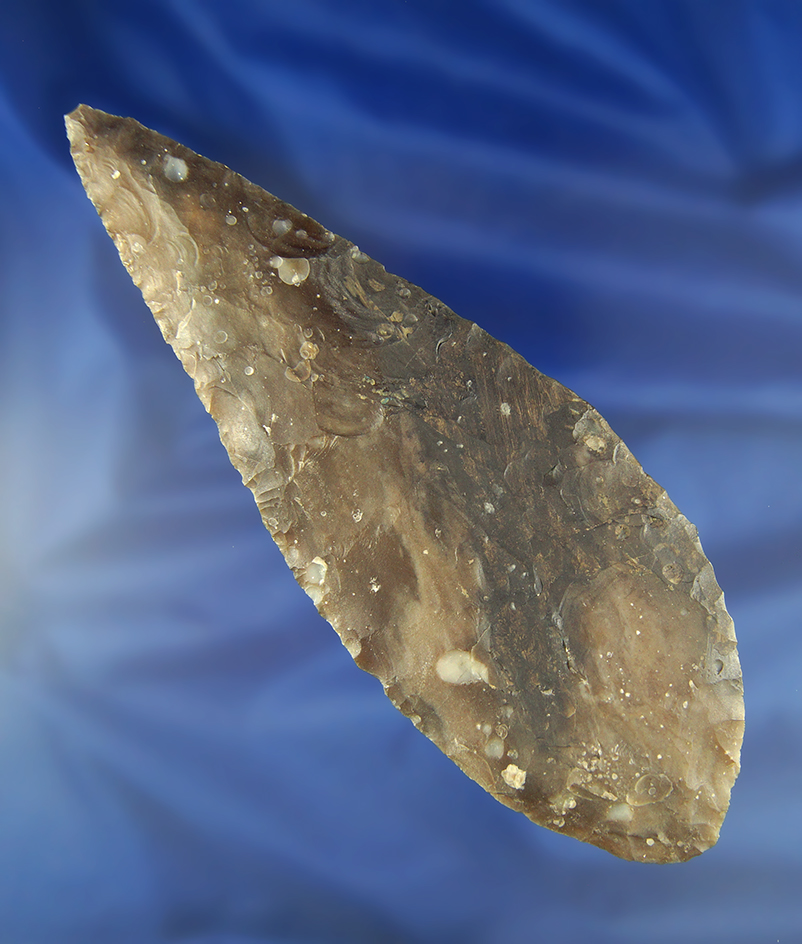 Large 6 3/4" Cascade Blade with restoration to one blade edge professionally completed - Oregon