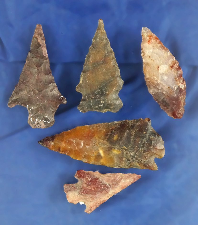 Set of five Oregon Arrowheads, largest is 1 5/8".