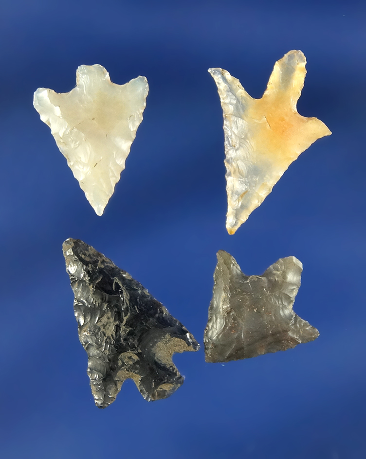 Set of four very nice Columbia River Arrowheads, largest is 3/4".