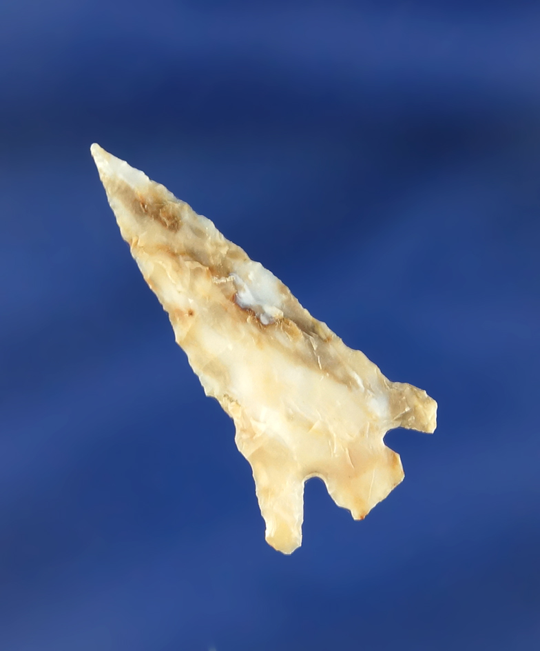 1 5/16" Columbia Plateau made from Agatized Wood found near the Columbia River.