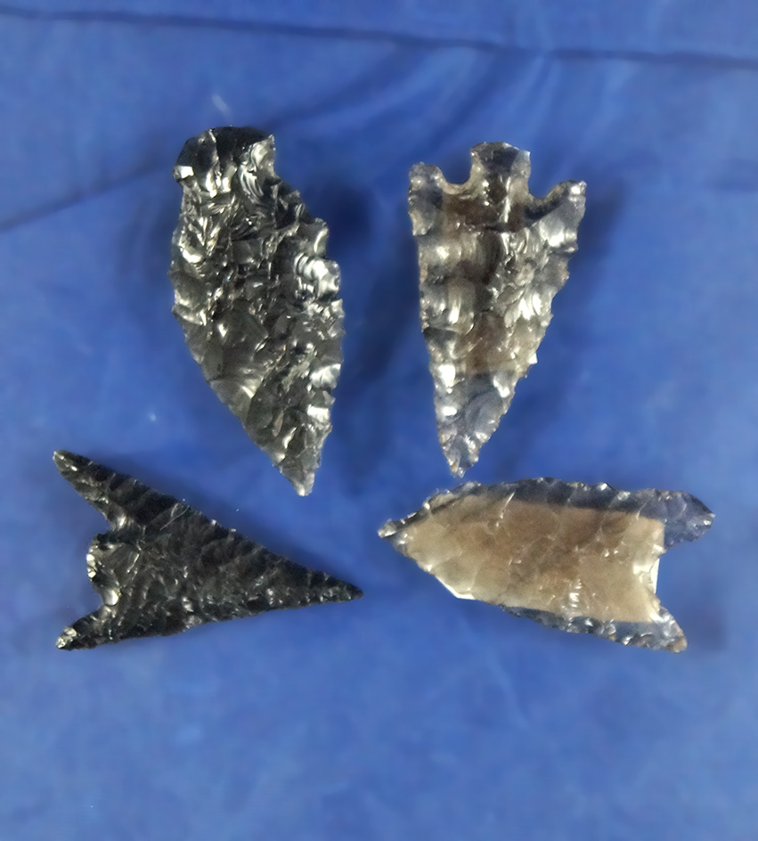 Set of four Obsidian Arrowheads found in Oregon in nice condition, largest is 1".