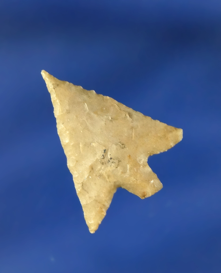 1" needle tip Gempoint found near the Columbia River, Oregon.