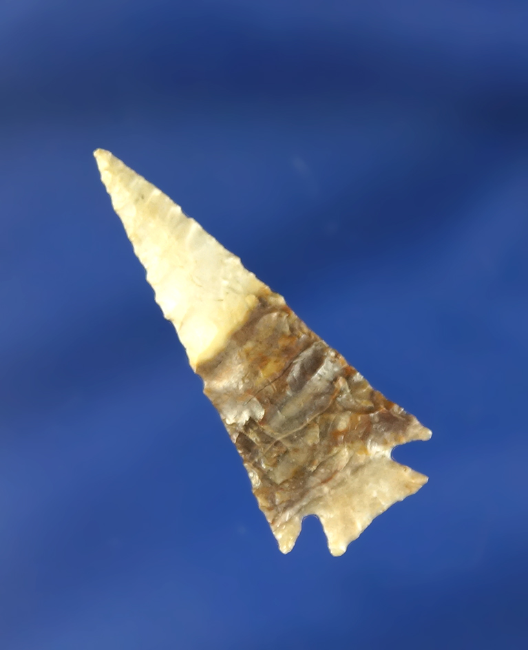 Incredible flaking, style and material color and quality on this 1 3/8" Snake River Dart Point