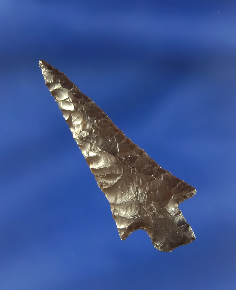 1 11/16" Stemmed Dart Point found near the Columbia River that is very nicely flaked.