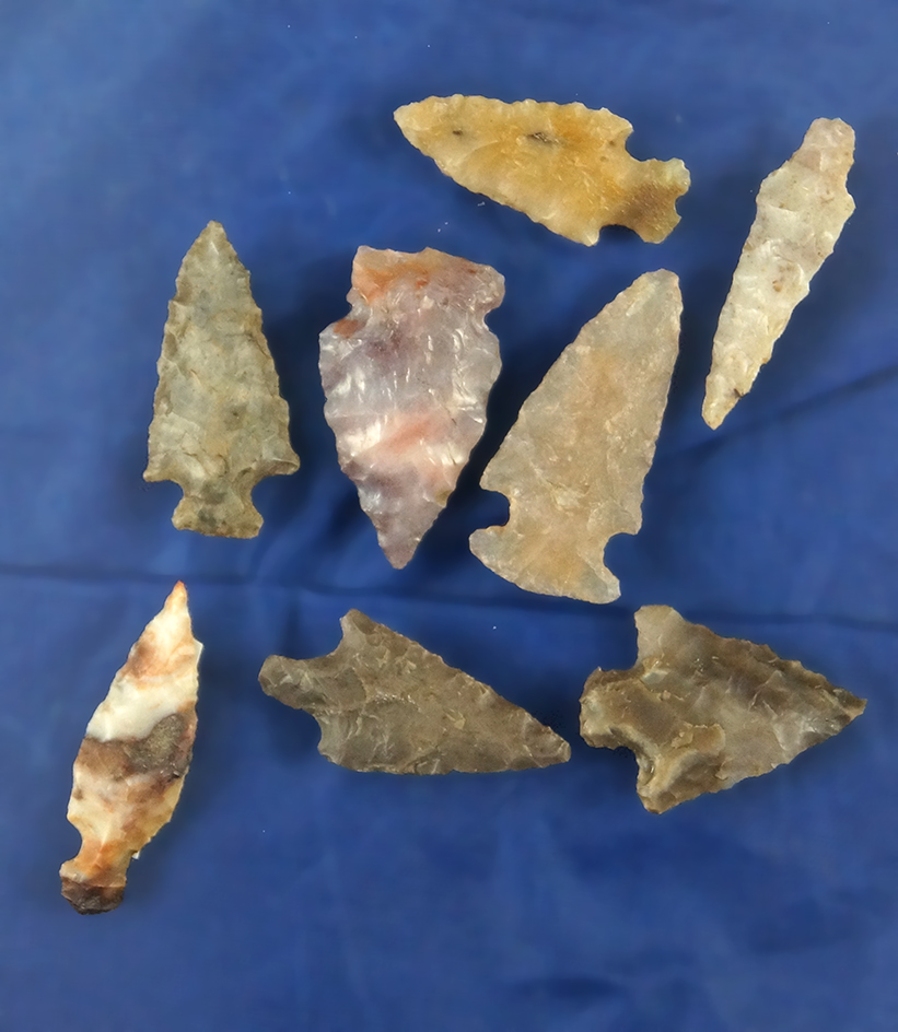 Set of eight assorted Arrowheads found in Oregon, largest is 1 1/8". All are in very nice condition.