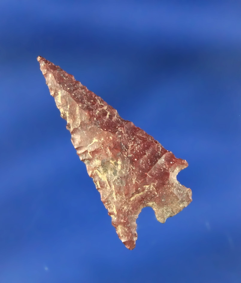 1 5/16" red Jasper Columbia Plateau found near the Columbia River, Oregon.