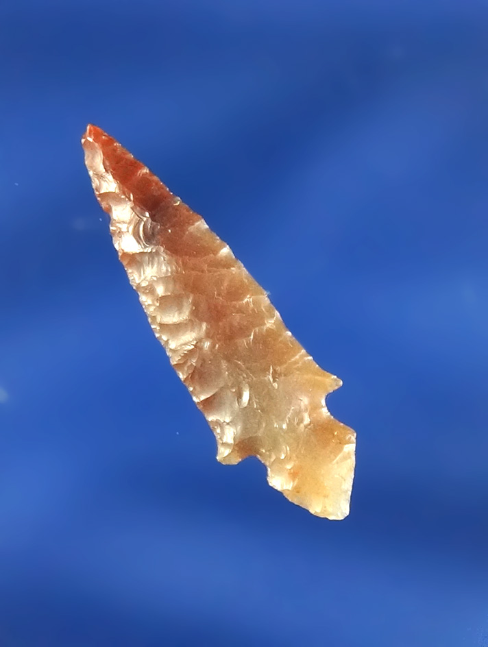 Exceptional! 1" perfectly flaked Klickitat Dagger- high quality semi translucent agate - Oregon.