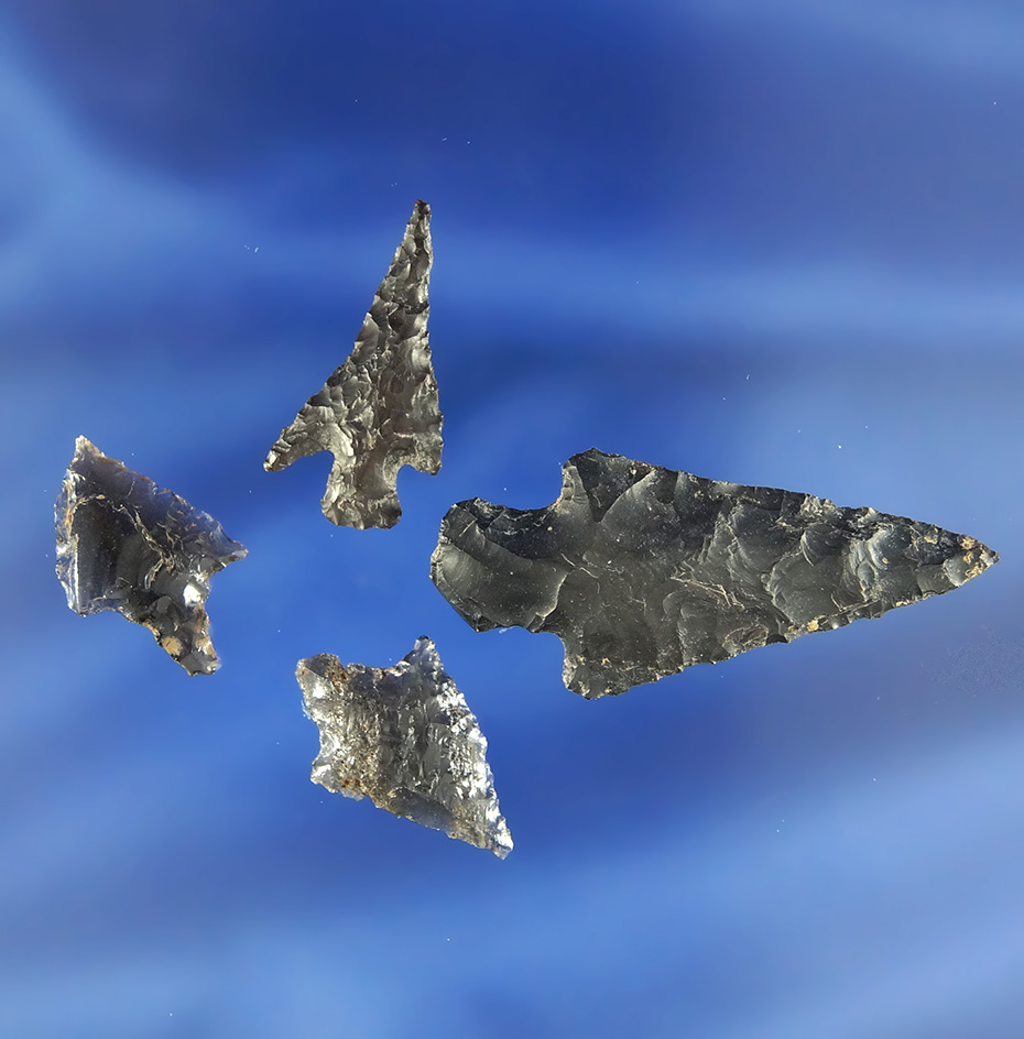 Set of four nice Oregon Obsidian Arrowheads. Largest is 1 11/16".
